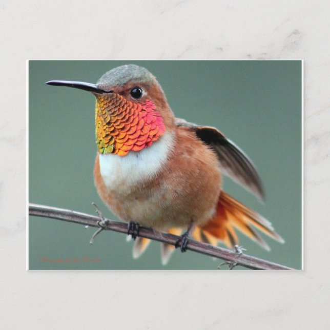 Bereit für den Start Postkarte (Vorderseite)