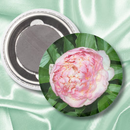 Bereit für die Blüte der Peony Magnet
