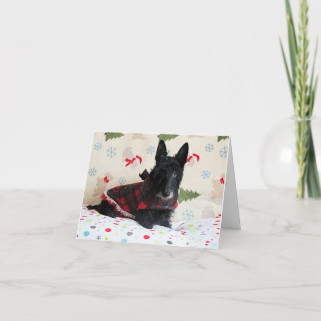 Bereit für die Weihnachtskarte (mit Text) Karte (Vorderseite)