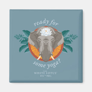 Bereit für einige Yoga? - Der weiße Lotus Magnet