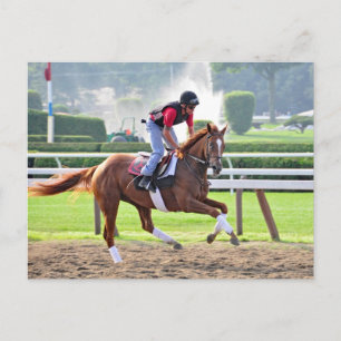 Bereit für Saratoga 150 Postkarte