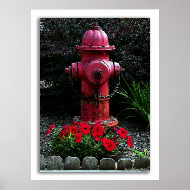 Bereit, Willing und Able Poster (Vorne)