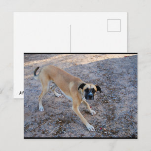 Bereit zu spielen postkarte
