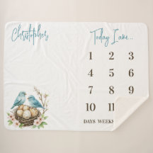 Bereit zum Hatch! Niedliche Birds Baby Milestone