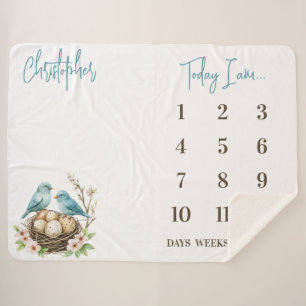 Bereit zum Hatch! Niedliche Birds Baby Milestone Sherpadecke