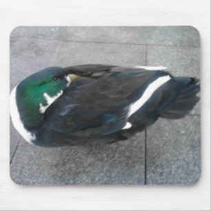 Bereit zum Schlafen Mousepad