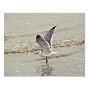 Bereiten Sie für Flug Foto vor