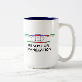 Bereiten Sie für Übersetzung vor (vor-mRNA in Zweifarbige Tasse