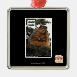 Bereiten Sie für Winter vor Silbernes Ornament