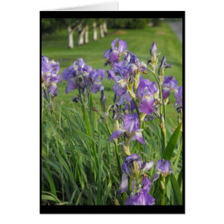 Bereiten Sie so für Frühling ~ 21 vor