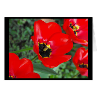 Bereiten Sie so für Spring~1 vor