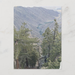 Berg-Canyon-Aussichtspunkt Postkarte
