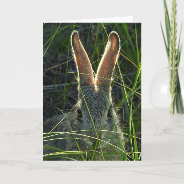 Berg Cottontail Notecard Karte (Vorderseite)
