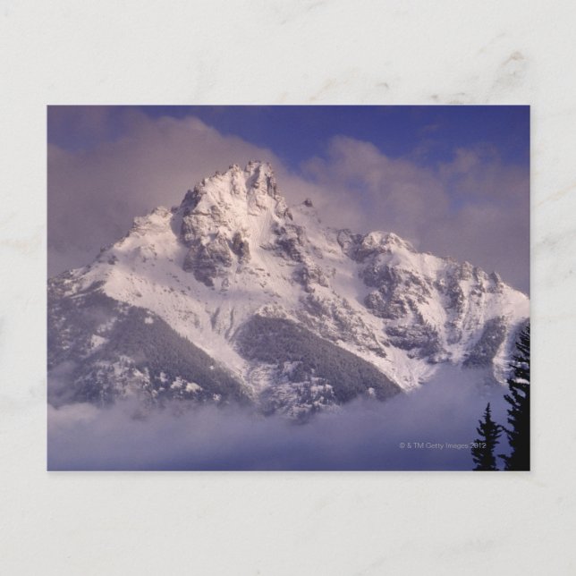 Berg Denali, Alaska Postkarte (Vorderseite)