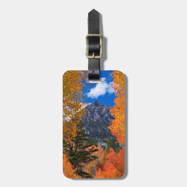 Berg eingerahmt im Herbstlaub, CA Gepäckanhänger (Vorderseite vertikal)