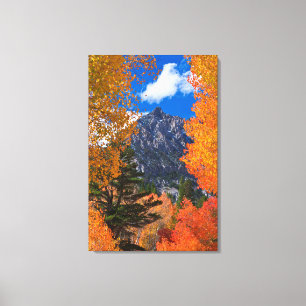 Berg eingerahmt im Herbstlaub, CA Leinwanddruck