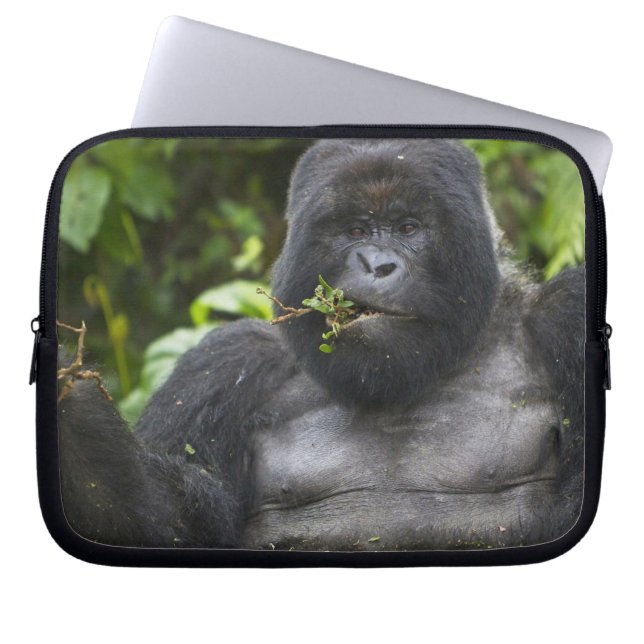 Berg Gorilla und Silverback Laptopschutzhülle (Vorderseite)