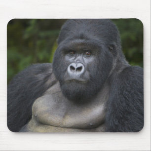 Berg Gorilla und Silverback Mousepad