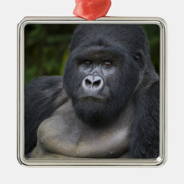 Berg Gorilla und Silverback Ornament Aus Metall (Vorne)