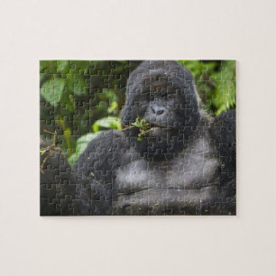 Berg Gorilla und Silverback Puzzle