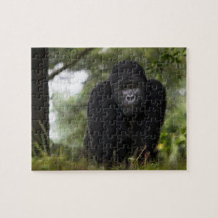 Berg Gorilla und Silverback Puzzle