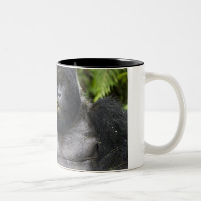 Berg Gorilla und Silverback Zweifarbige Tasse (Rechts)