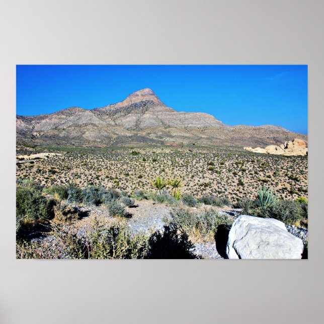 Berg in der Nevada-Wüste Poster (Vorne)