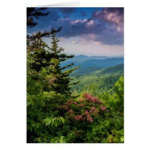 Berg Laurel bei Sonnenaufgang