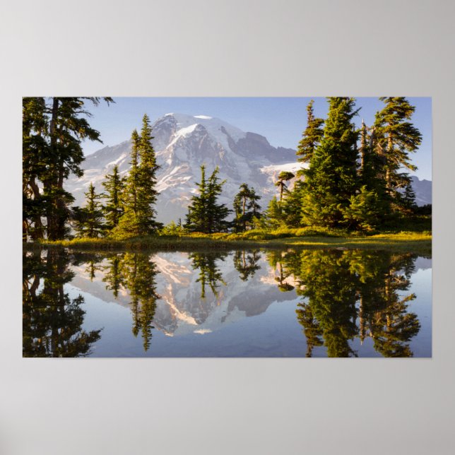 Berg Rainier reflektiert in einem Tal nahe der Plu Poster (Vorne)