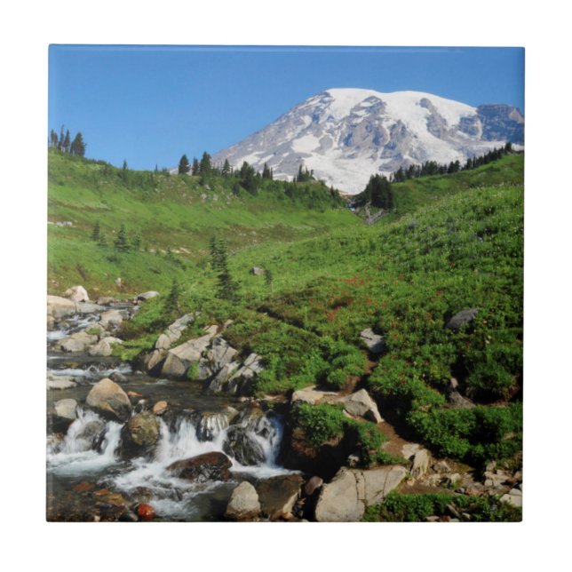 Berg Rainier, Wasserfall, schneebedeckt Fliese (Vorderseite)