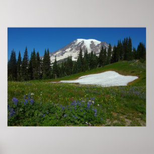 Berg Rainier, Wildblumen und Schnee Poster