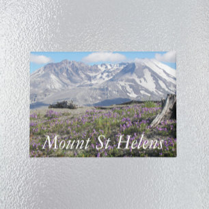 Berg St Helens Wildblumen Landschaft Magnet
