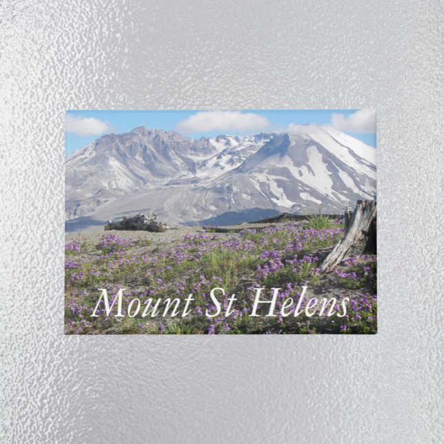 Berg St Helens Wildblumen Landschaft Magnet (In Situ Fridge)