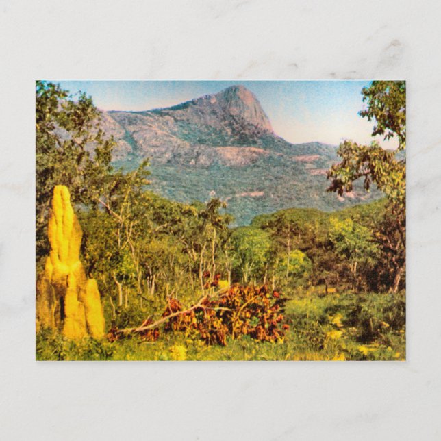 Berg Termite, Sierra da Hanba, Angola Postkarte (Vorderseite)