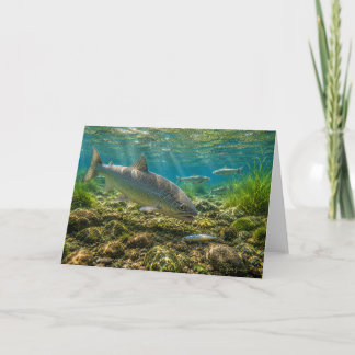 Berg-Weißfisch-Grußkarte Karte
