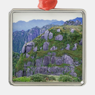 Berg, Yakushima, Kagoshima, Japan Silbernes Ornament