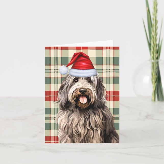Bergamasco Christmas Dog Kariert Feiertagskarte (Vorderseite)