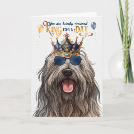 Bergamasco Dog King für Tag Funny Geburtstag Karte