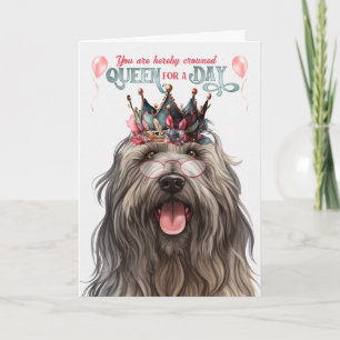 Bergamasco Dog Queen for Day Funny Geburtstag Karte