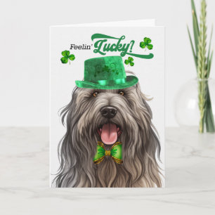 Bergamasco Hund Glücklicher St. Patrick's Day Feiertagskarte