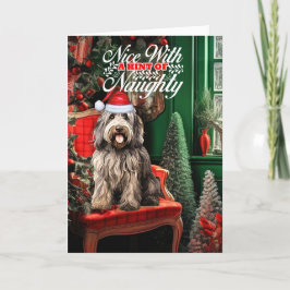 Bergamasco Shepherd Christmas Dog Naughty oder Nic Feiertagskarte