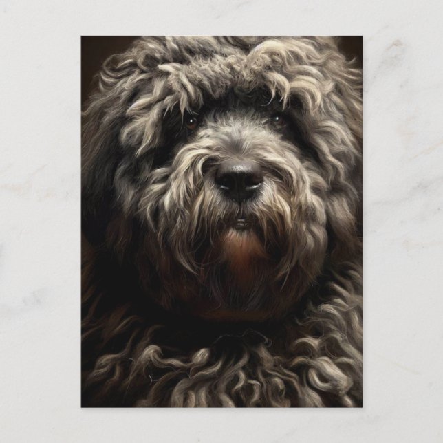 Bergamasco Shepherd Postkarte (Vorderseite)
