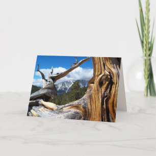 Bergbaum Blank im Jeder Anlass Gruß Karte