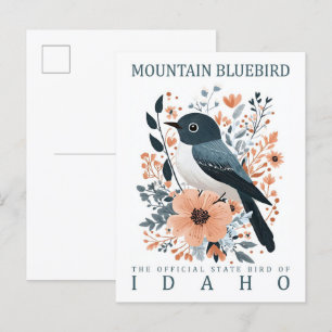 Bergblaumeise Vogel von Idaho USA Reise Postkarte