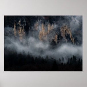Berge mit Nebel durch Fichtenwald Poster