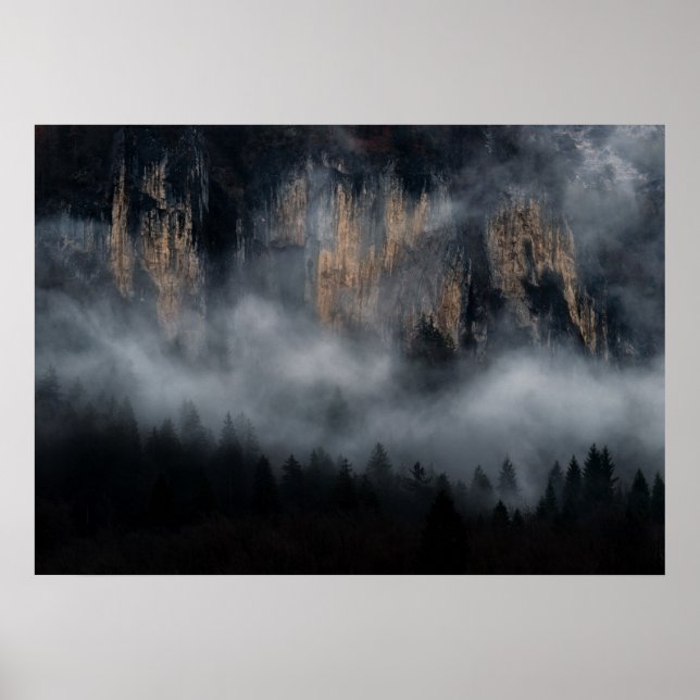 Berge mit Nebel durch Fichtenwald Poster (Vorne)