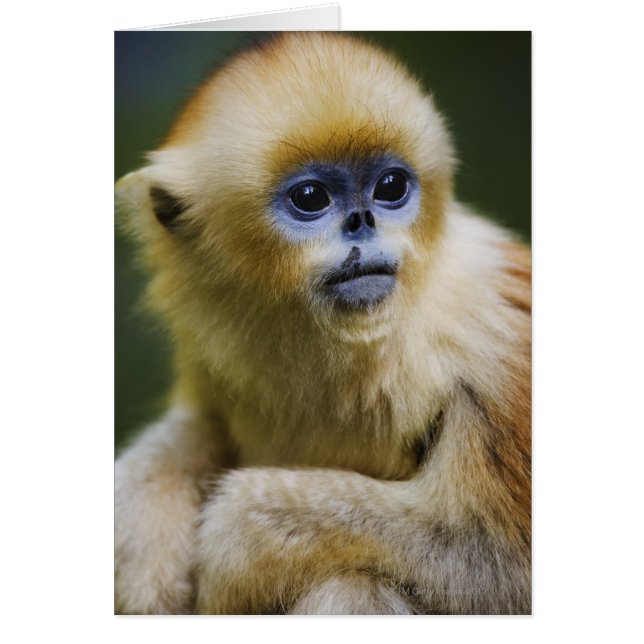 Berge, Oktober 2006 (Vorne)