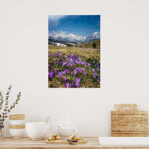 Berge und Krokusblumen auf Velika Planina, Sl Poster
