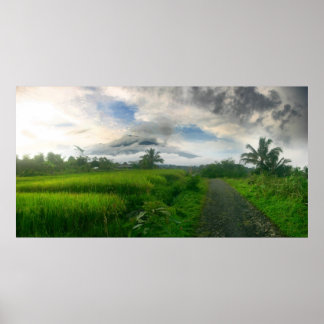 Berge und Ricefields Poster