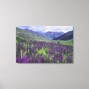 Berge und Wildblumen auf Almwiese, 2 Leinwanddruck